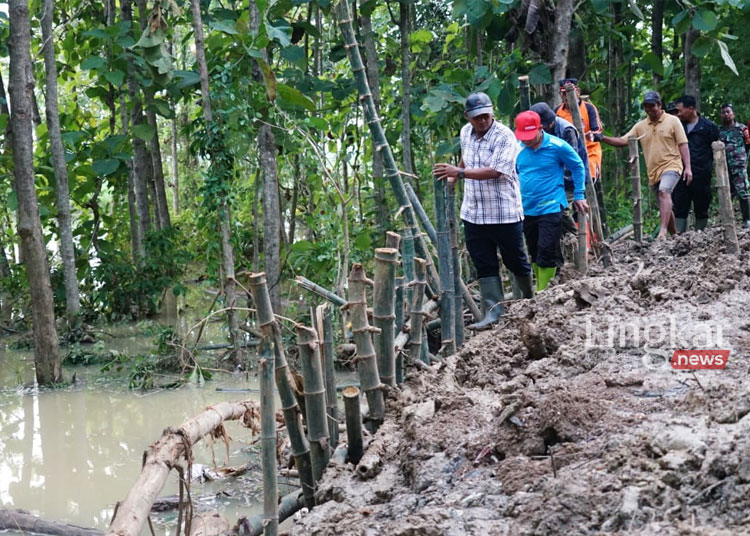 Pj Bupati Pati Tinjau Lokasi Tanggul Jebol di Ketitang Wetan