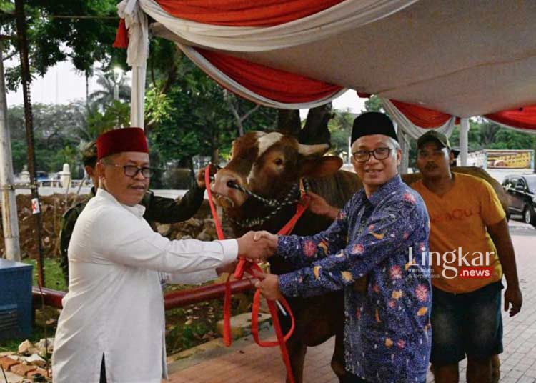 Masjid Istiqlal Terima Sapi Kurban 2 Ton Lebih dari Presiden dan Wapres