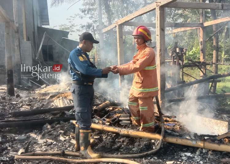 Kandang Ayam di Tuntang Semarang Hangus Terbakar, Kerugian Capai Rp 300 Juta