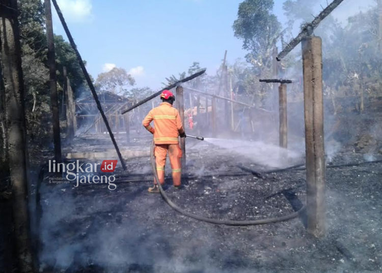 Kemarau, Kebakaran Terjadi 3 Kali dalam Sehari di Kabupaten Semarang