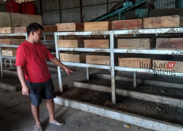 Melihat Rumah Budidaya Maggot di TPA Blondo, Raup Keuntungan lewat Sampah Organik