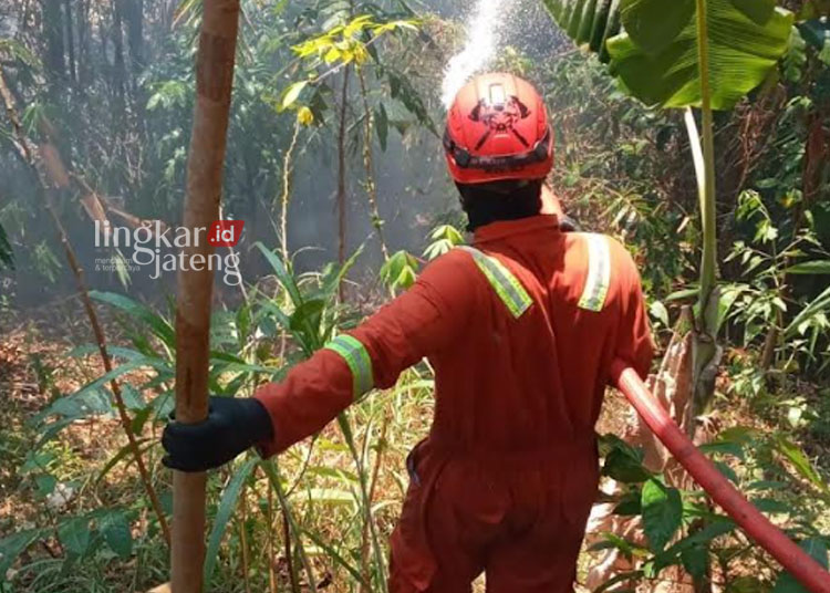 Suhu Naik, Bawen Jadi Wilayah dengan Kasus Kebakaran Terbanyak di Kabupaten Semarang
