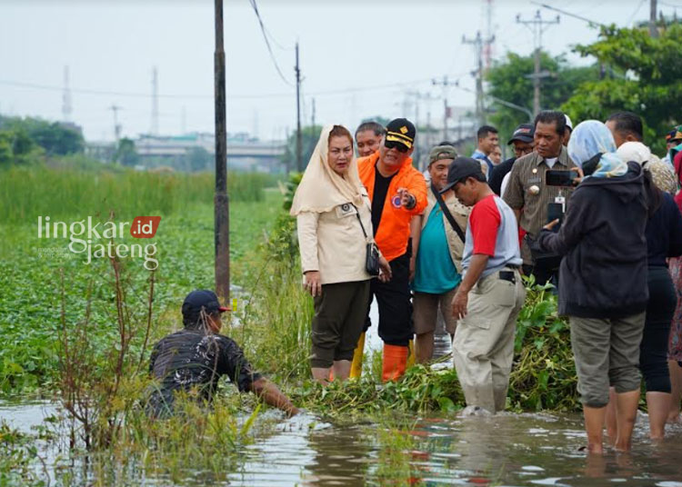 Tinjau Lokasi Terdampak, Pemkot Semarang Gerak Cepat Tangani Banjir
