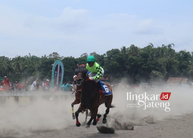 Pacuan Kuda Jateng Derby 2024 di Tegalwaton Semarang Makin Diminati Masyarakat