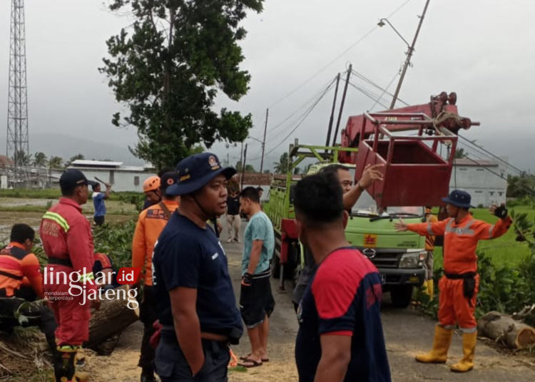 Rawan Pohon Tumbang, Poldam Kabupaten Semarang Lakukan Pemotongan