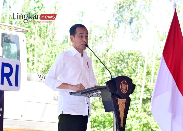 Presiden Jokowi Prediksi Harga Beras segera Turun dalam Waktu 1 Bulan