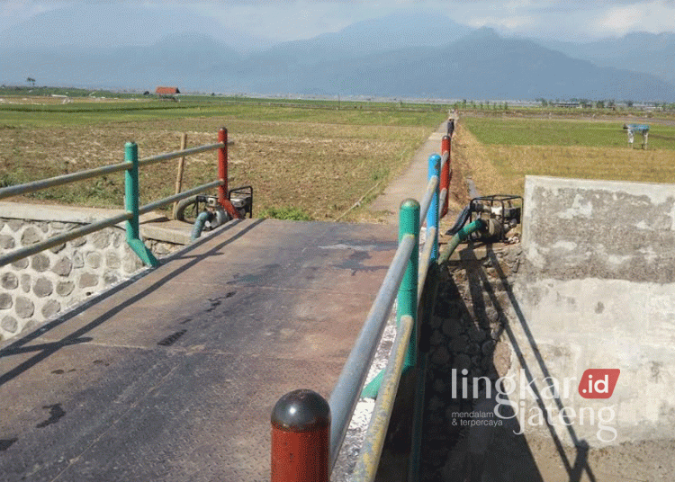 700 Hektare Sawah di Kabupaten Semarang Kekeringan Imbas Revitalisasi Sungai Sekitar Rawa Pening